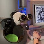 Electron microscope